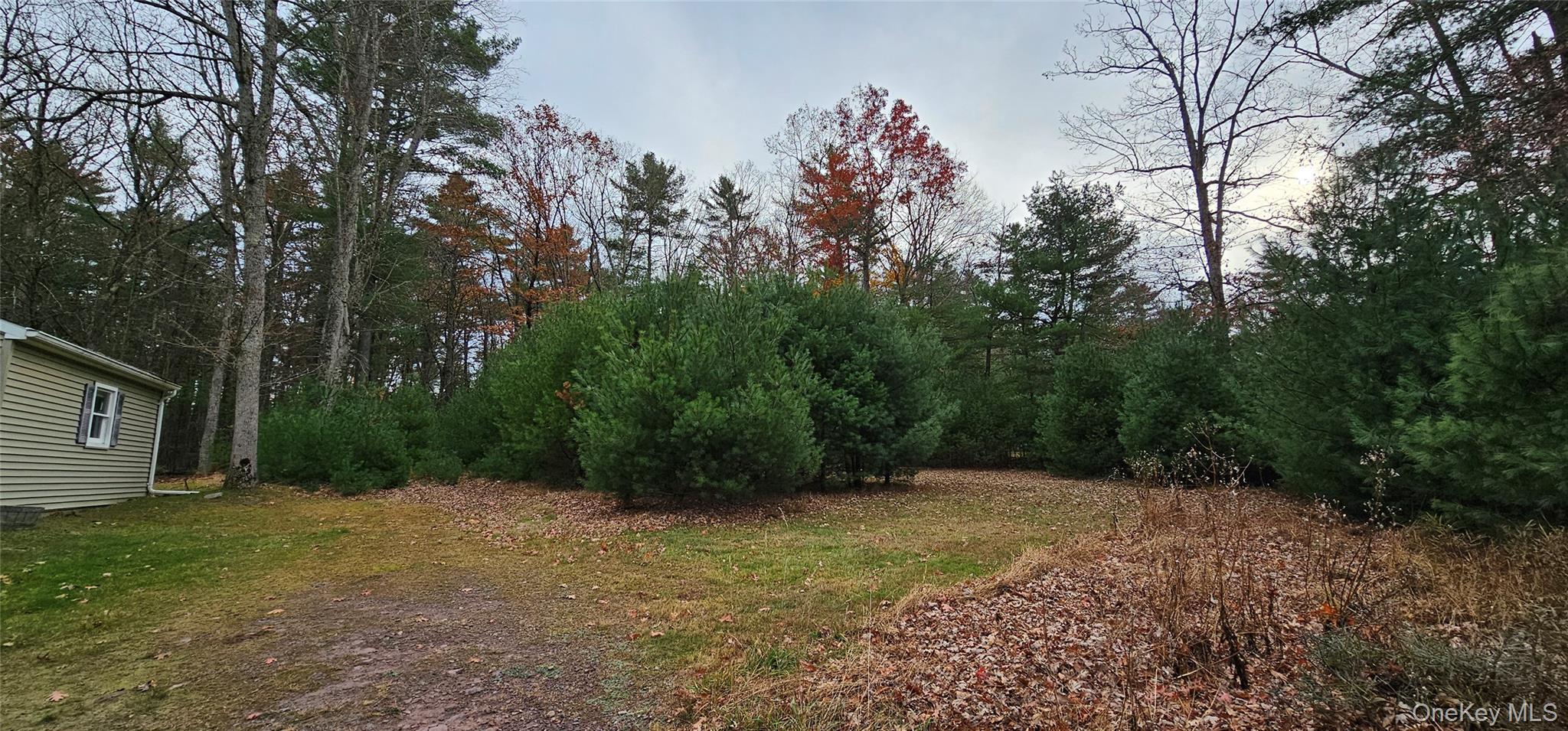 Single Family Eldred Yulan  Sullivan County, NY 12732, MLS-932862-34