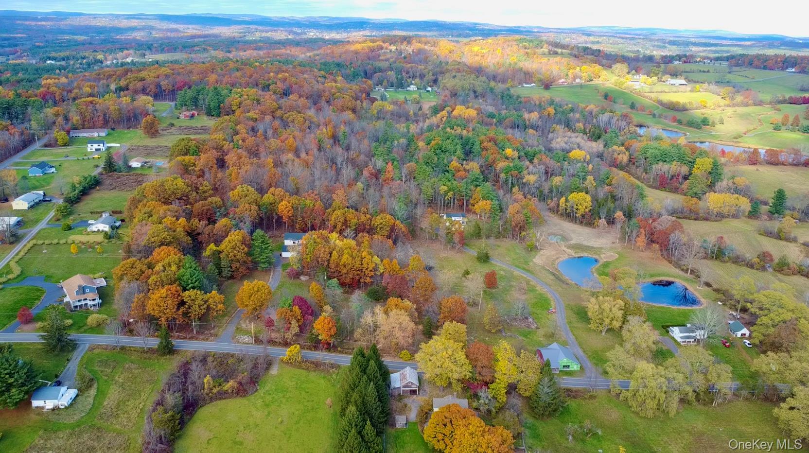 Single Family Sunny Hill  Greene County, NY 12083, MLS-932978-27