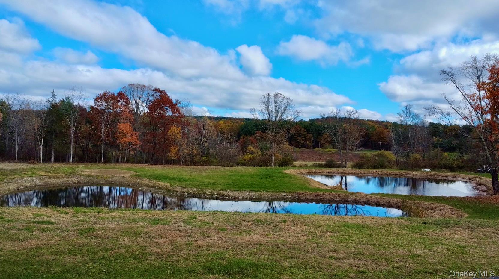 Single Family Sunny Hill  Greene County, NY 12083, MLS-932978-32