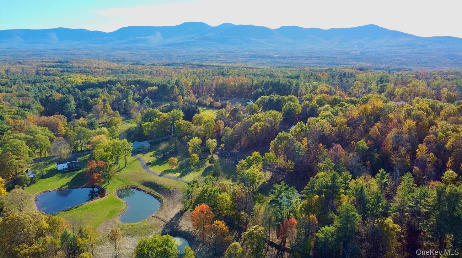 Single Family Sunny Hill  Greene County, NY 12083, MLS-932978-33