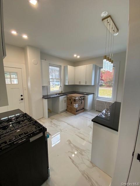 Single Family Route 207  Orange County, NY 10916, MLS-932990-10