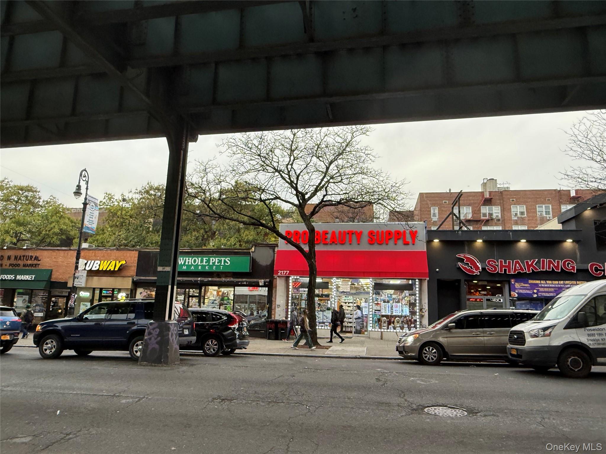 Business Opportunity Lydig  Bronx, NY 10462, MLS-933013-23