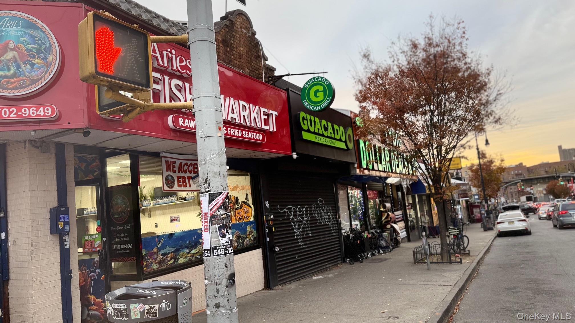 Business Opportunity Lydig  Bronx, NY 10462, MLS-933013-28