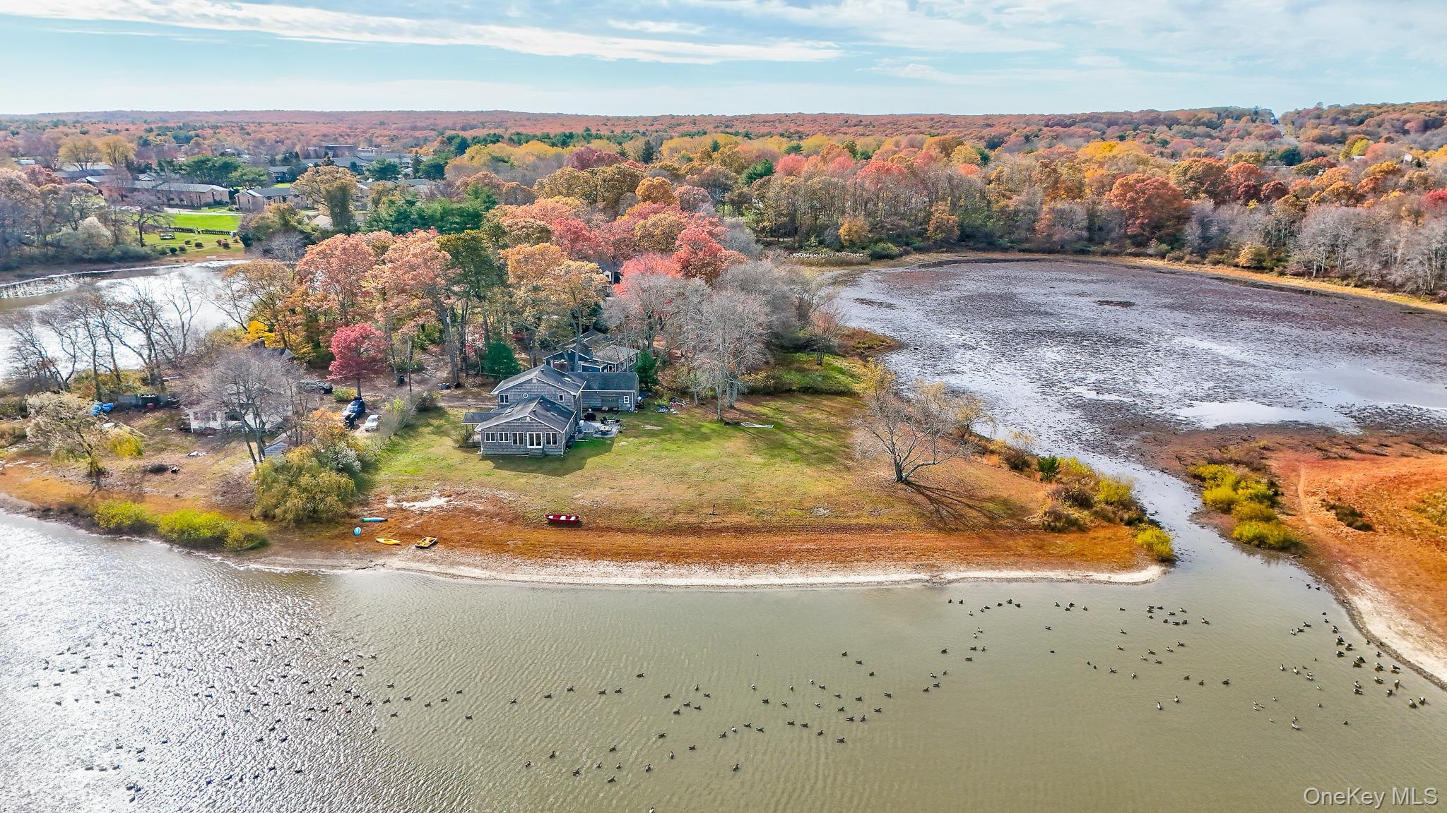 Single Family Lake Suffolk County, NY 11953, MLS-933027-43