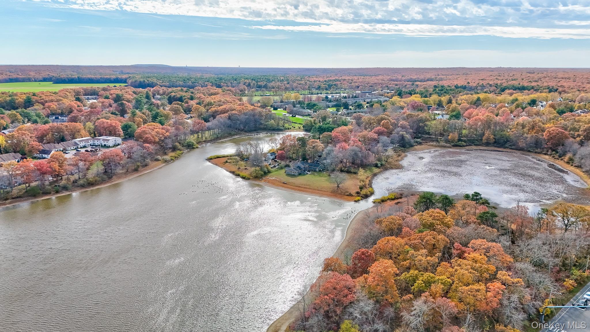 Single Family Lake Suffolk County, NY 11953, MLS-933027-46