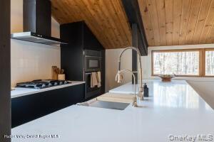 Single Family Country Club  Ulster County, NY 12498, MLS-933029-11