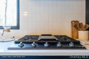 Single Family Country Club  Ulster County, NY 12498, MLS-933029-8