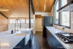 Single Family Country Club  Ulster County, NY 12498, MLS-933029-9