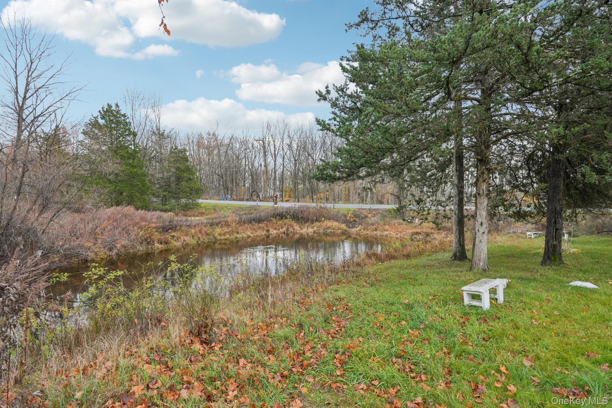 Single Family County Route 12  Orange County, NY 10958, MLS-933033-3