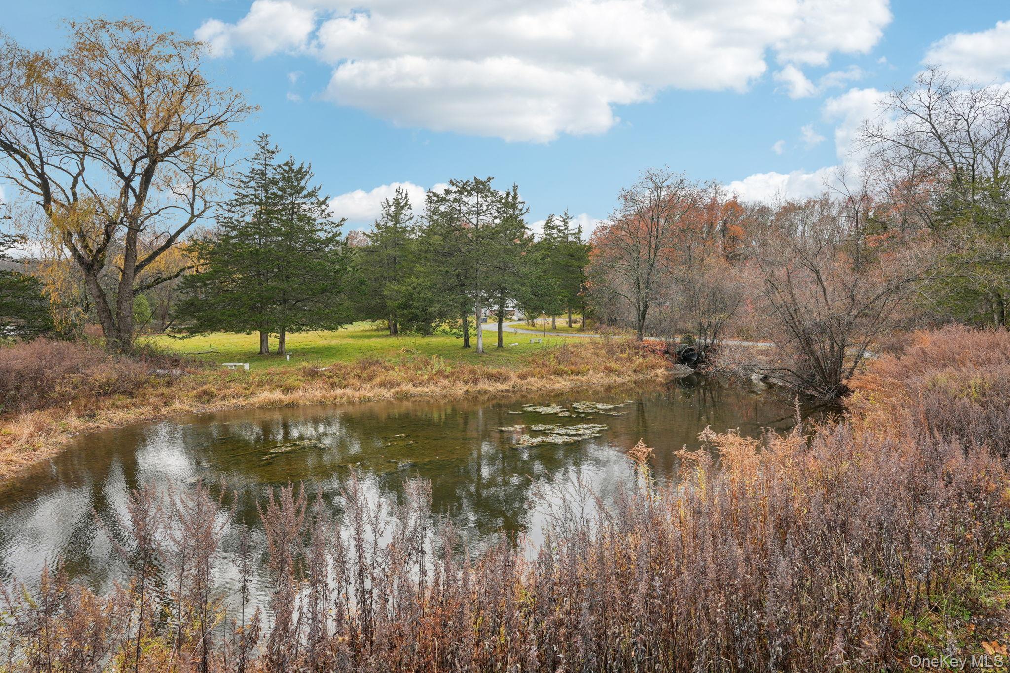 Single Family County Route 12  Orange County, NY 10958, MLS-933033-44