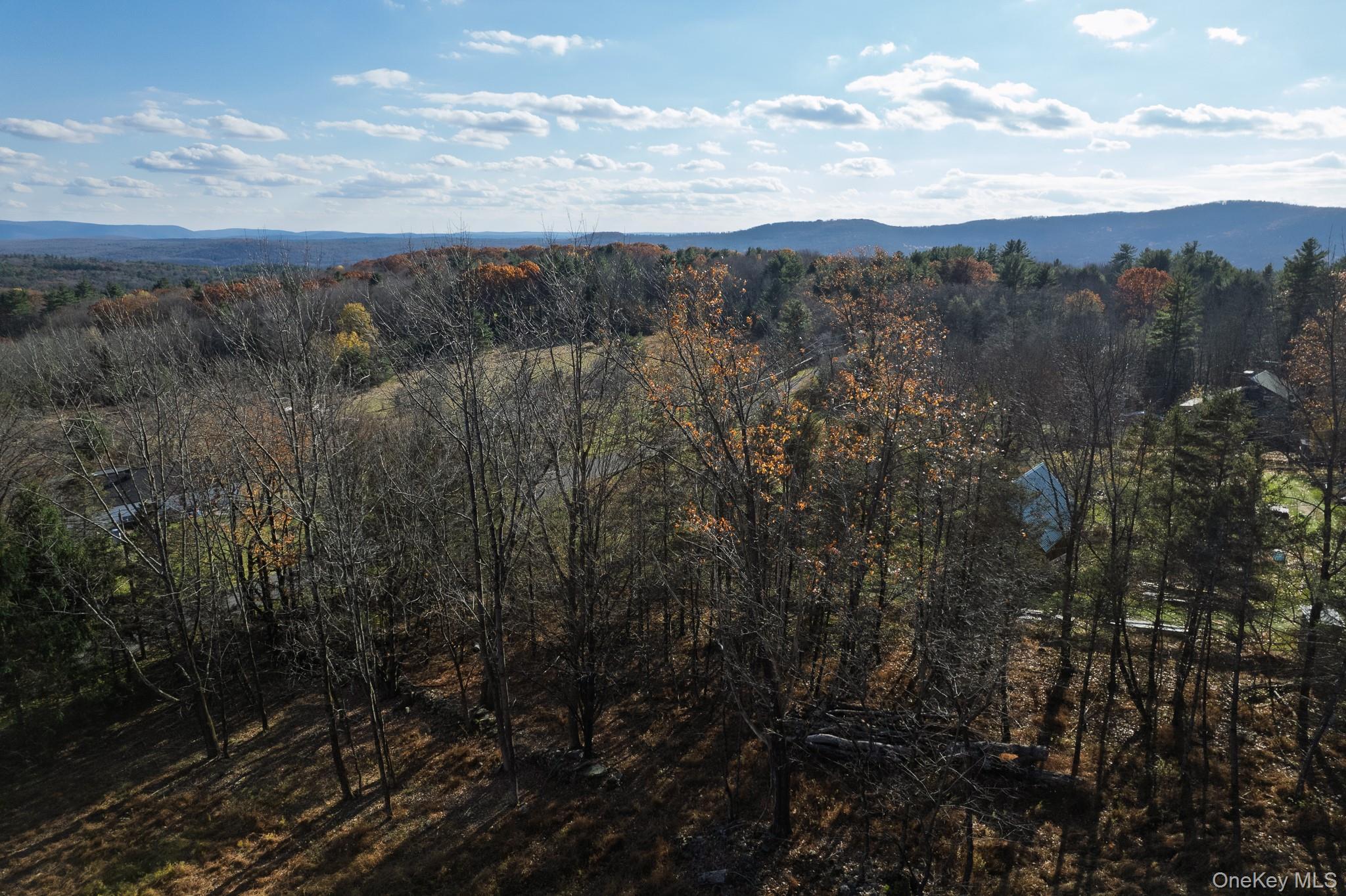 Single Family Deans Sullivan County, NY 12458, MLS-933034-17