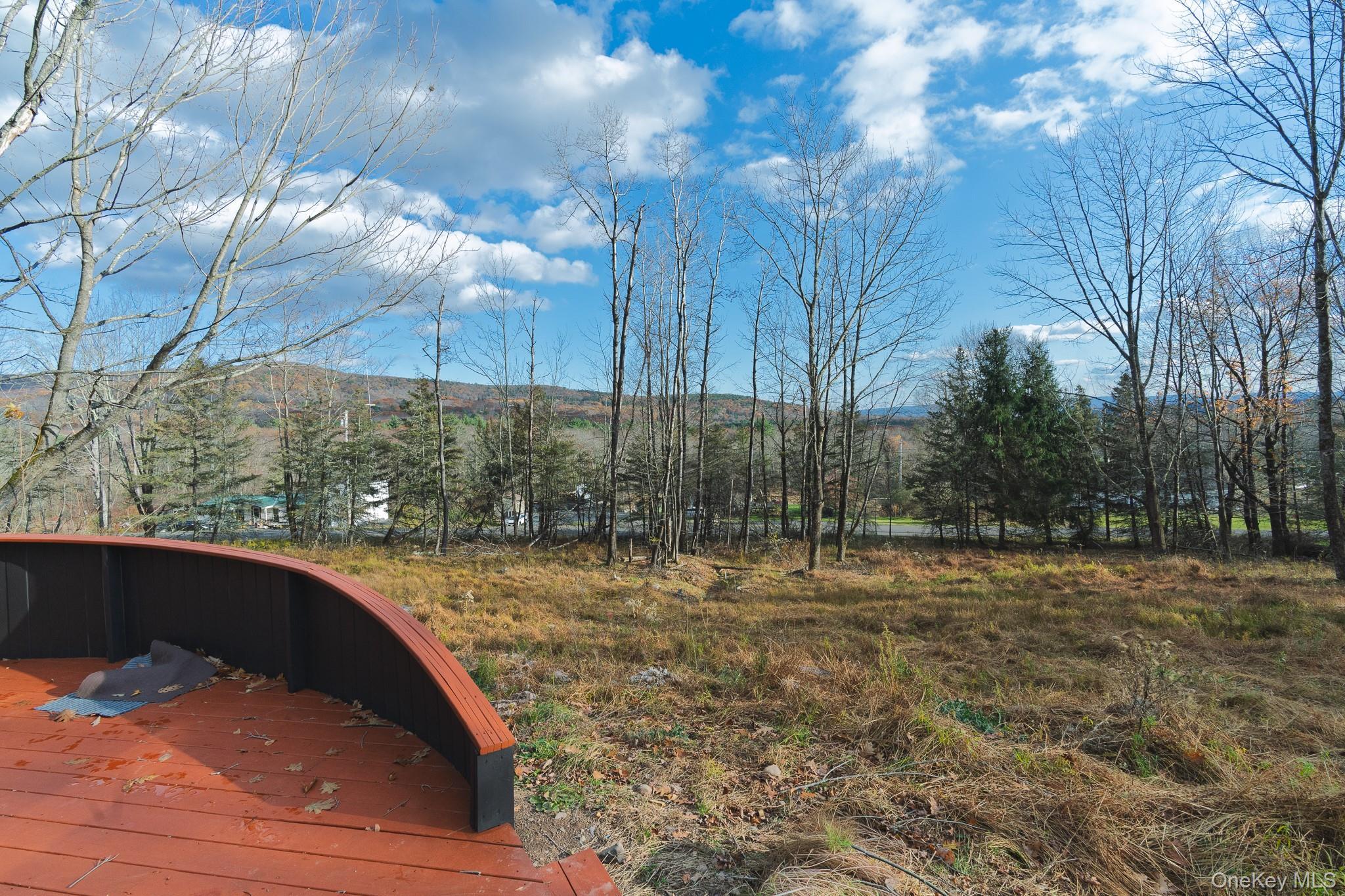 Single Family Deans Sullivan County, NY 12458, MLS-933034-18