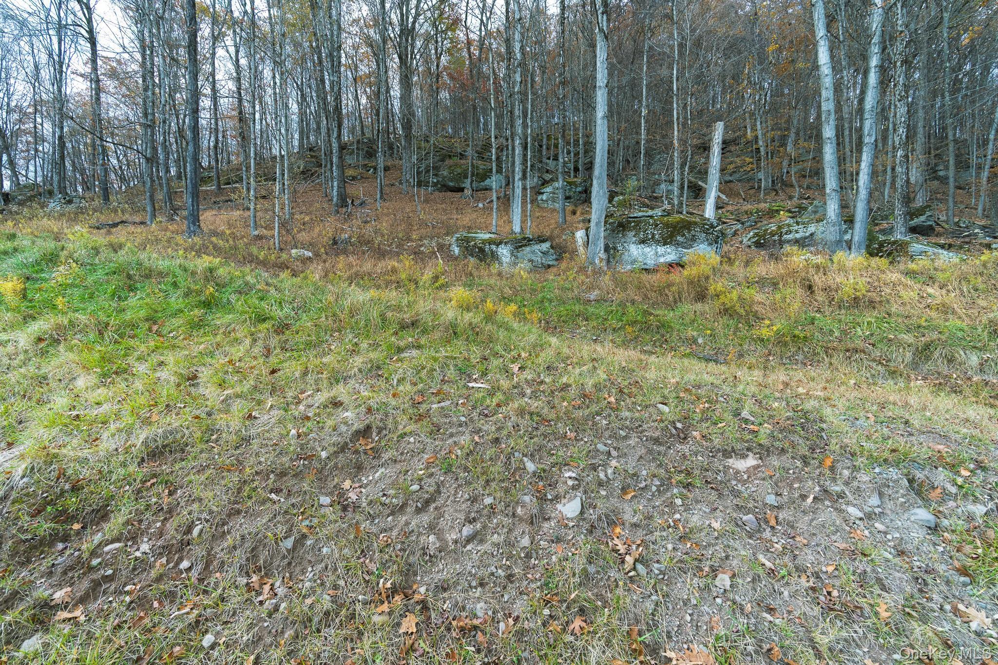 Single Family Deans Sullivan County, NY 12458, MLS-933034-20