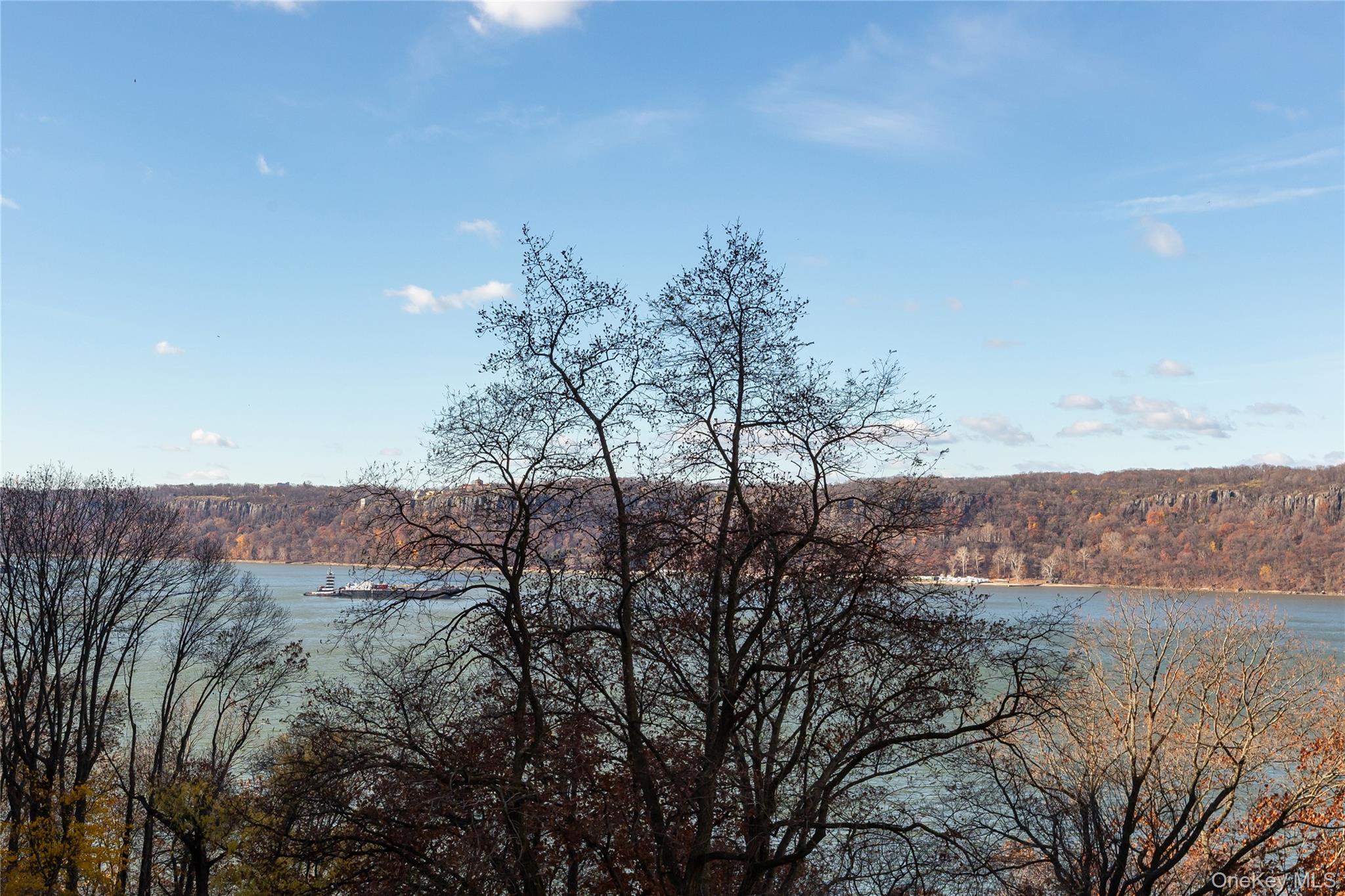 Coop Palisade  Bronx, NY 10463, MLS-933089-2