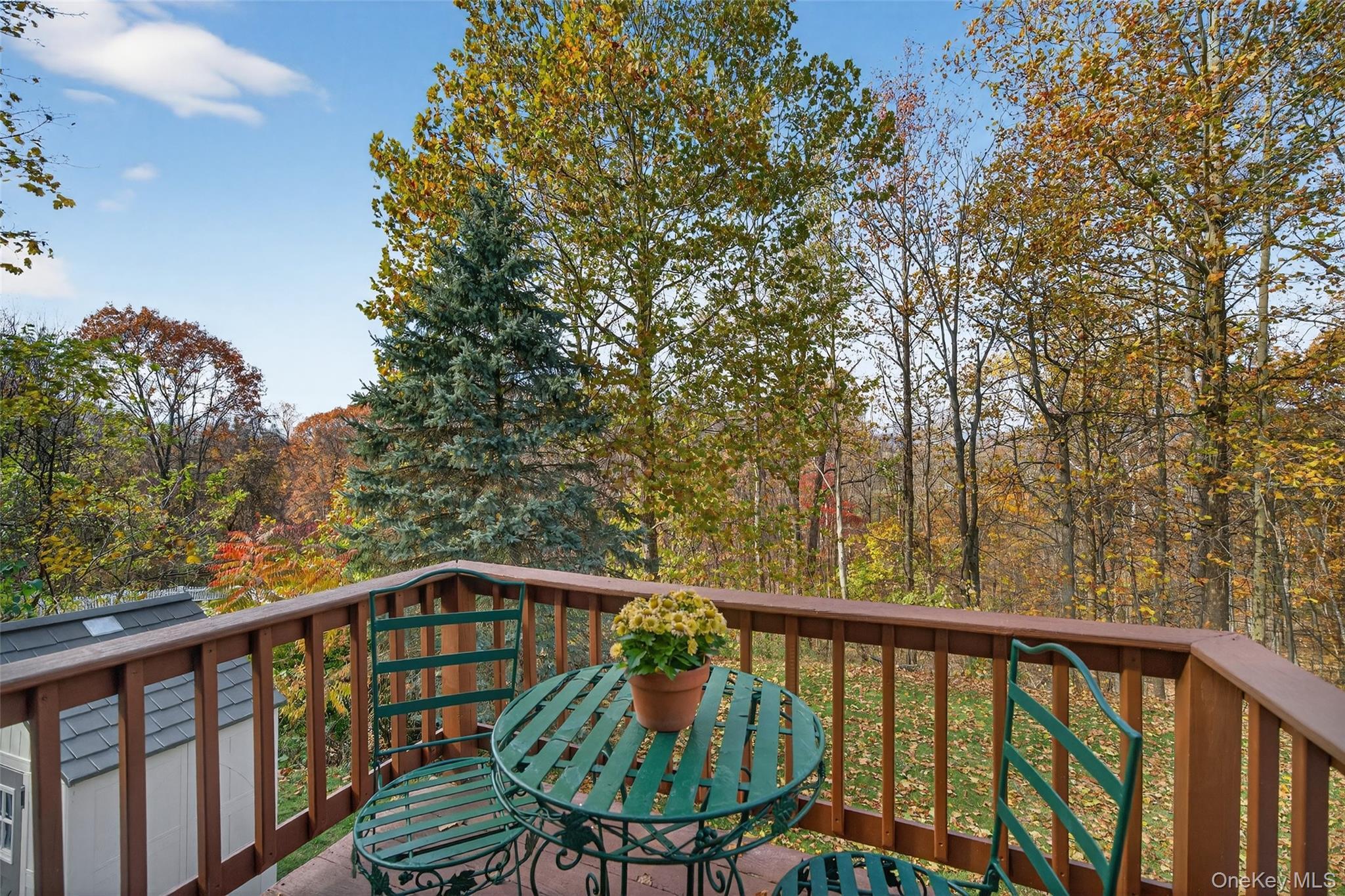 Single Family Colleen  Ulster County, NY 12589, MLS-933163-22