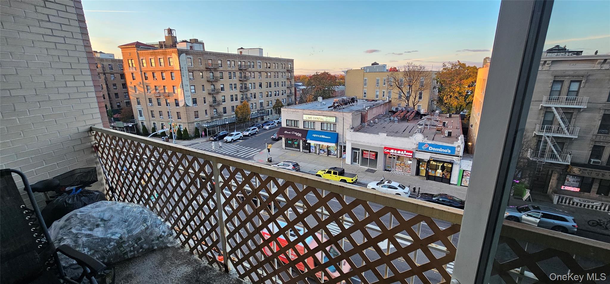 Condo Northern  Queens, NY 11354, MLS-933209-16