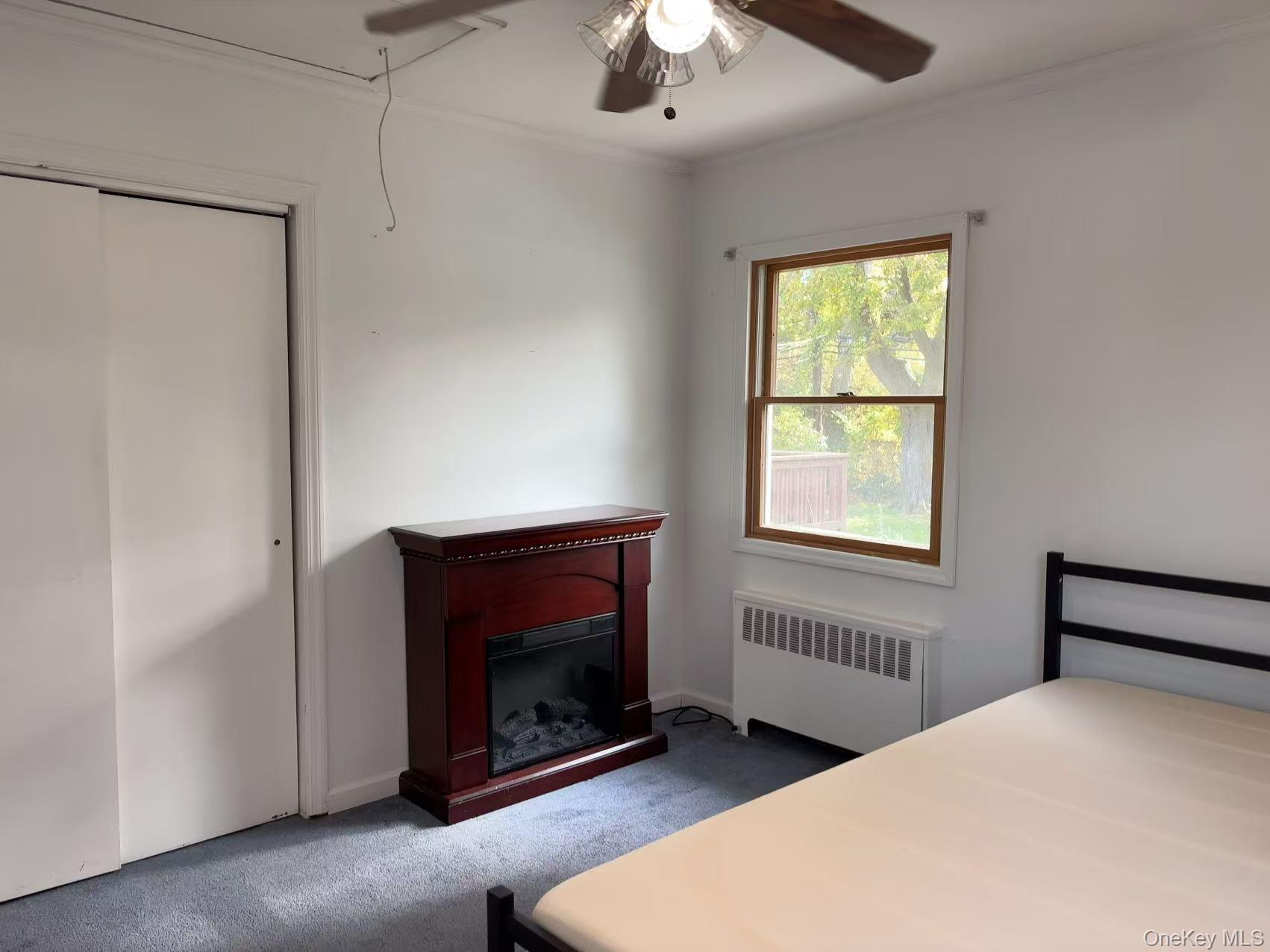 Single Family Brent Nassau County, NY 11793, MLS-933215-5