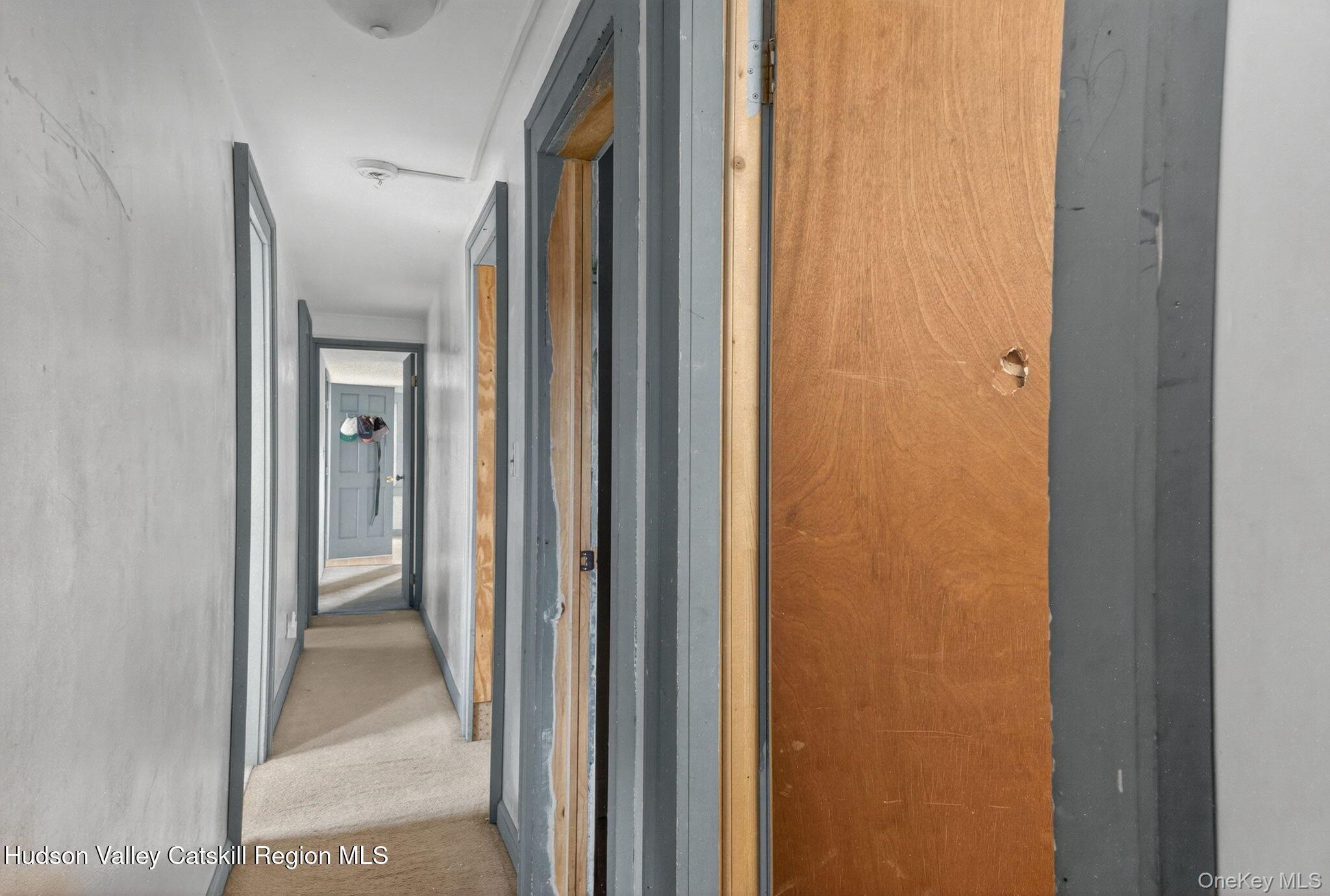 Single Family County Route 3 Columbia County, NY 12503, MLS-933257-23