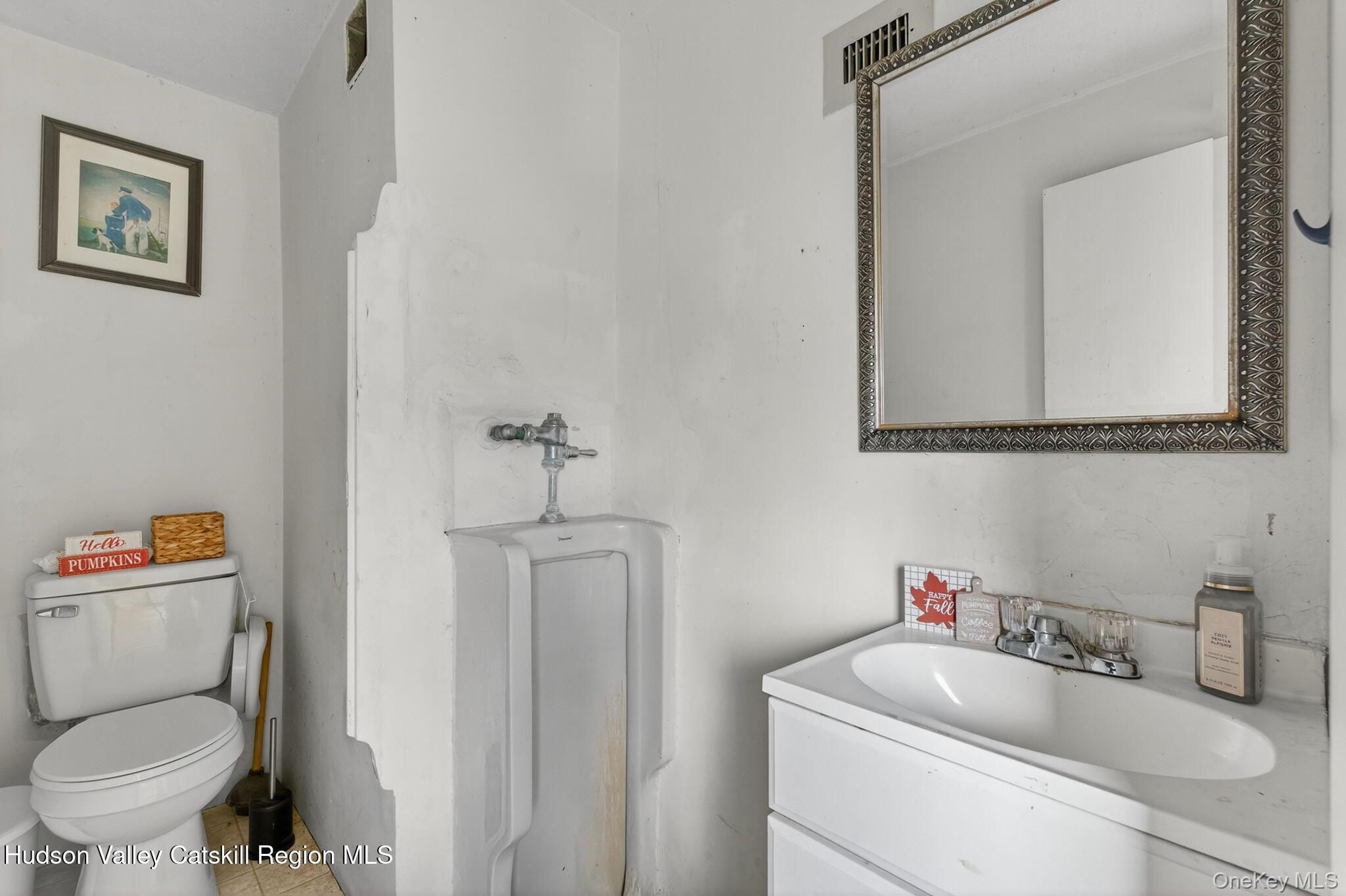 Single Family County Route 3 Columbia County, NY 12503, MLS-933257-39