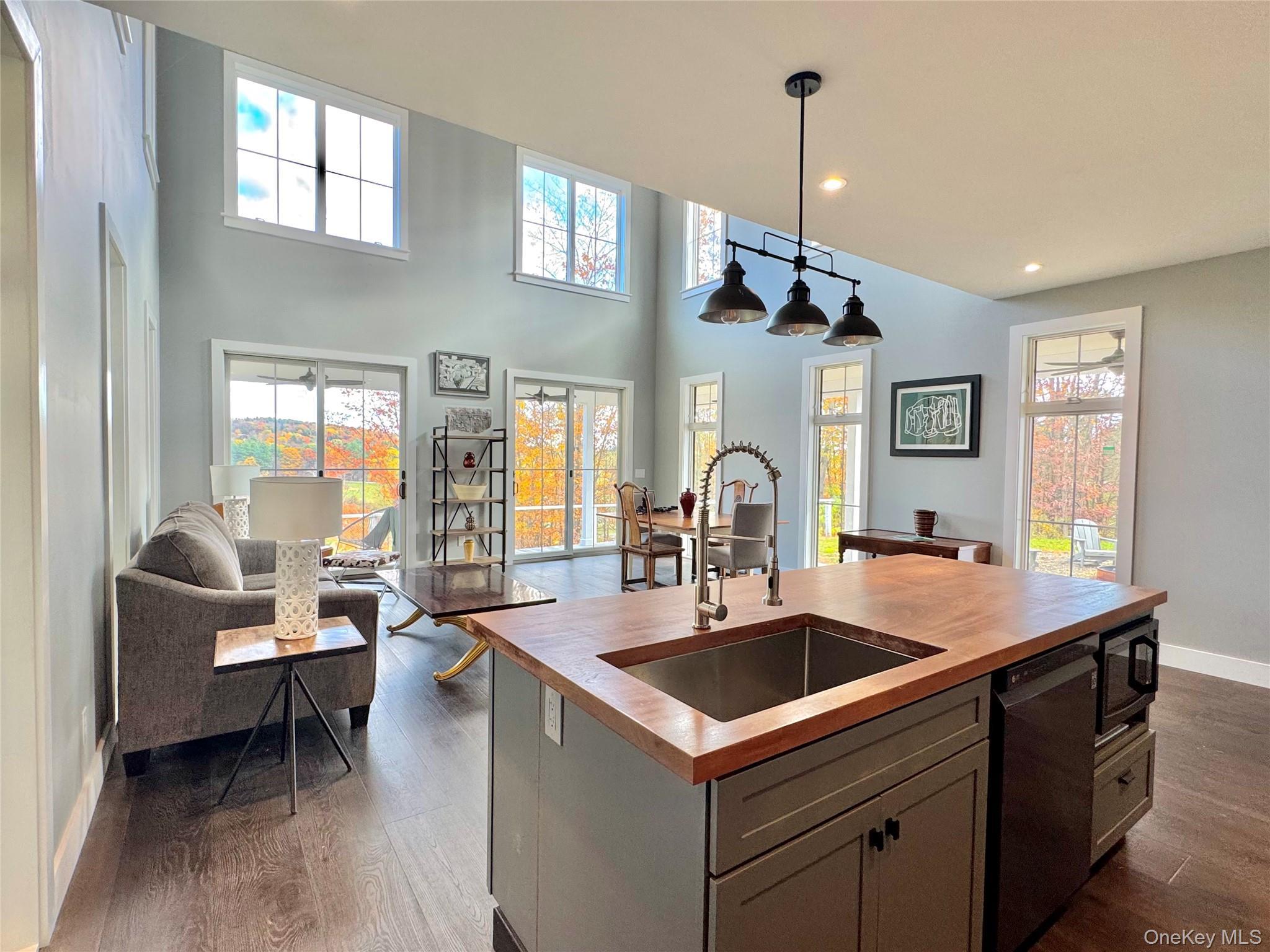 Single Family Sunny Hill  Greene County, NY 12083, MLS-933295-13