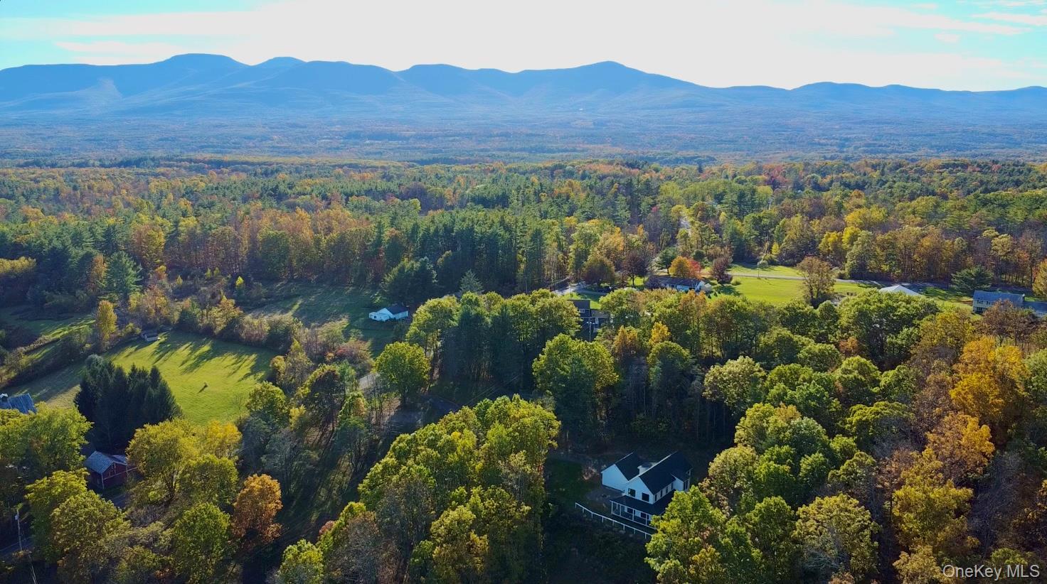 Single Family Sunny Hill  Greene County, NY 12083, MLS-933295-40