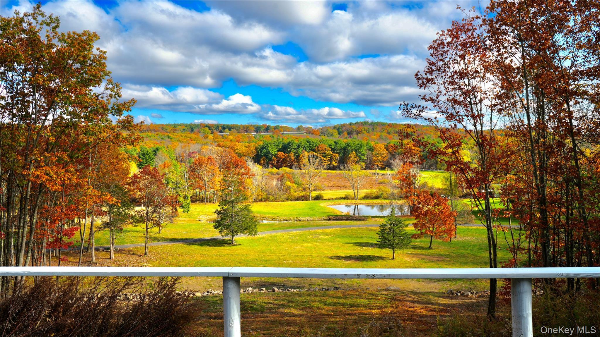 Single Family Sunny Hill  Greene County, NY 12083, MLS-933295-7