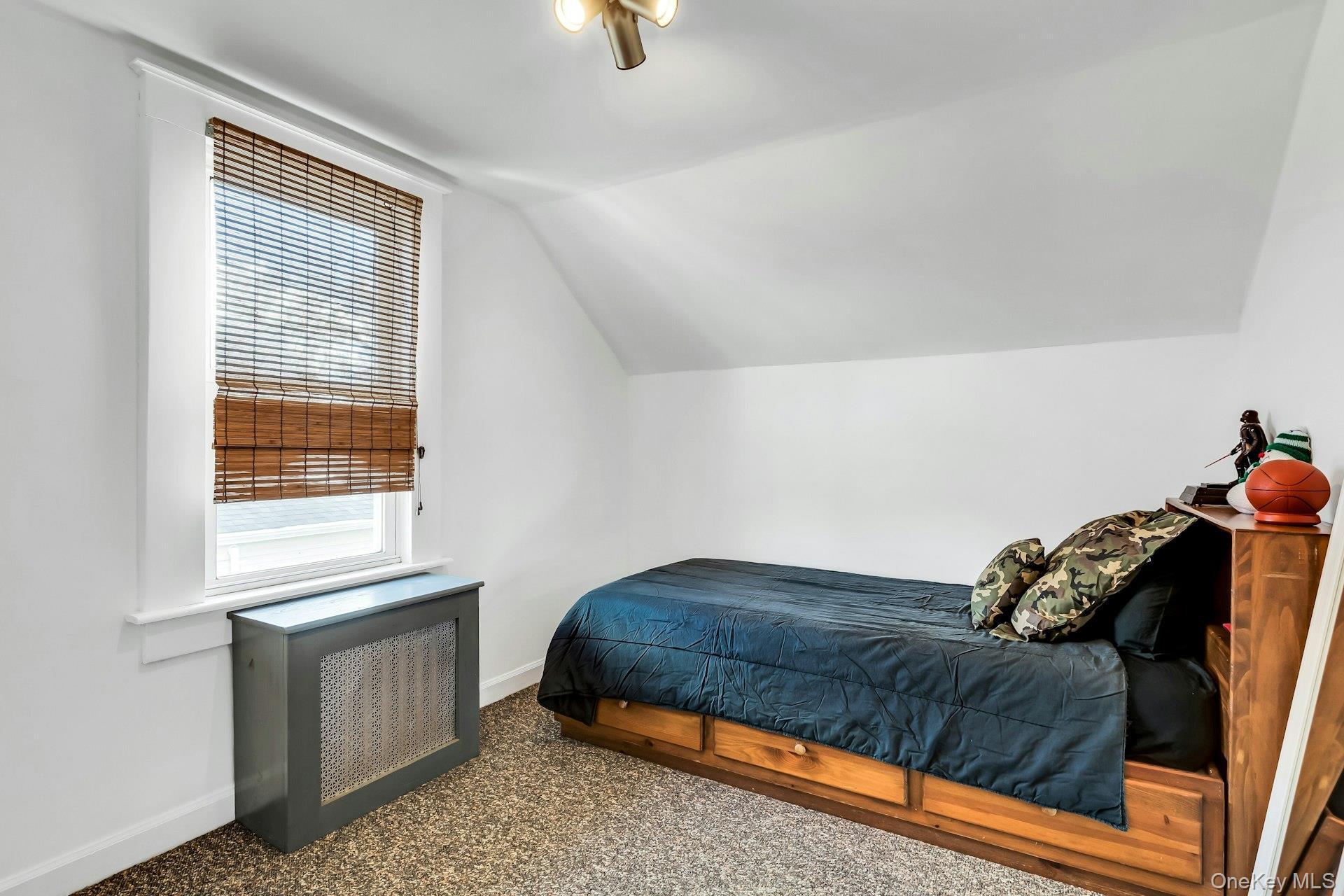 Single Family Roslyn Suffolk County, NY 11752, MLS-933314-19