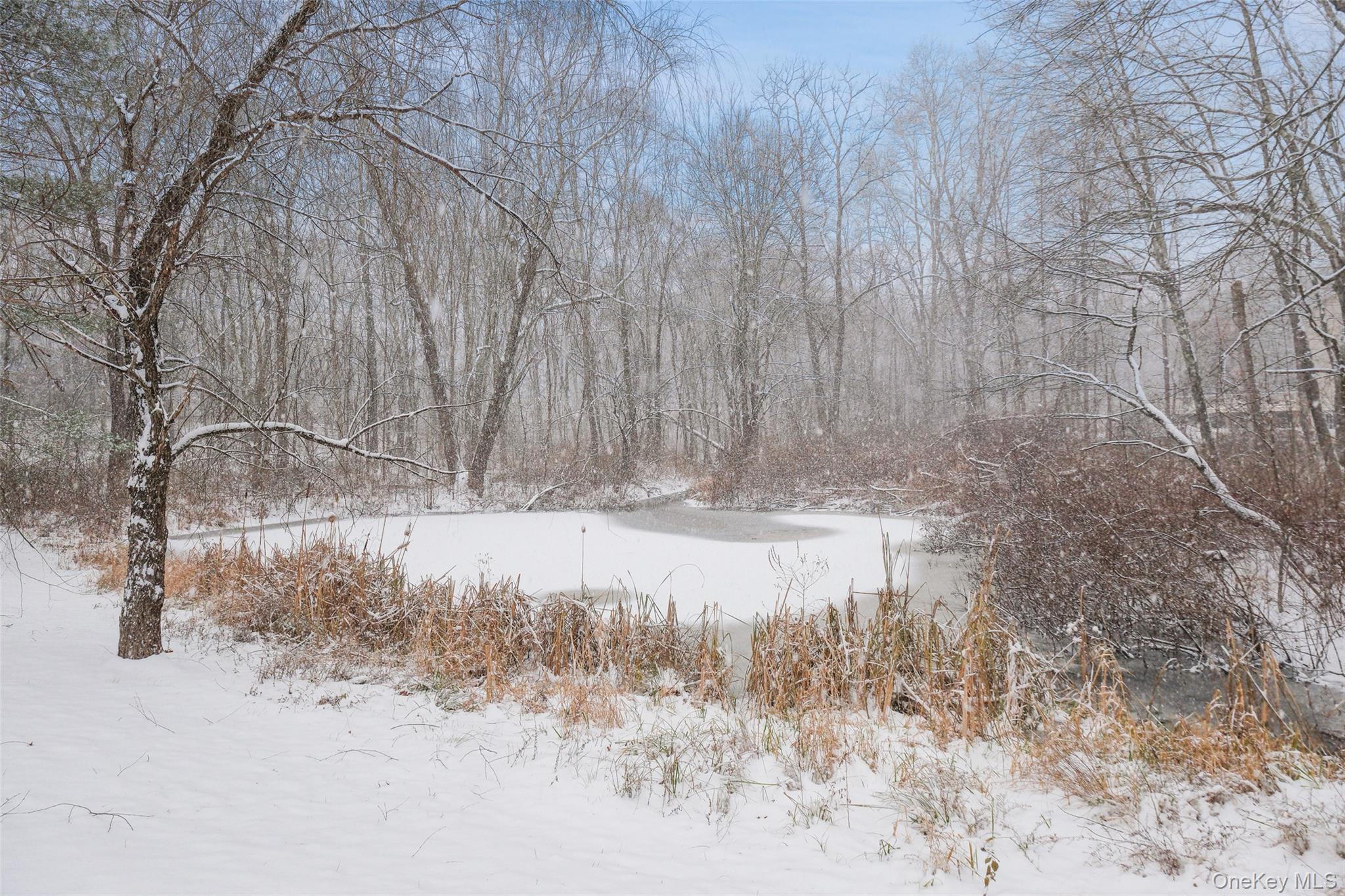 Single Family Quaker Dutchess County, NY 12538, MLS-933349-36