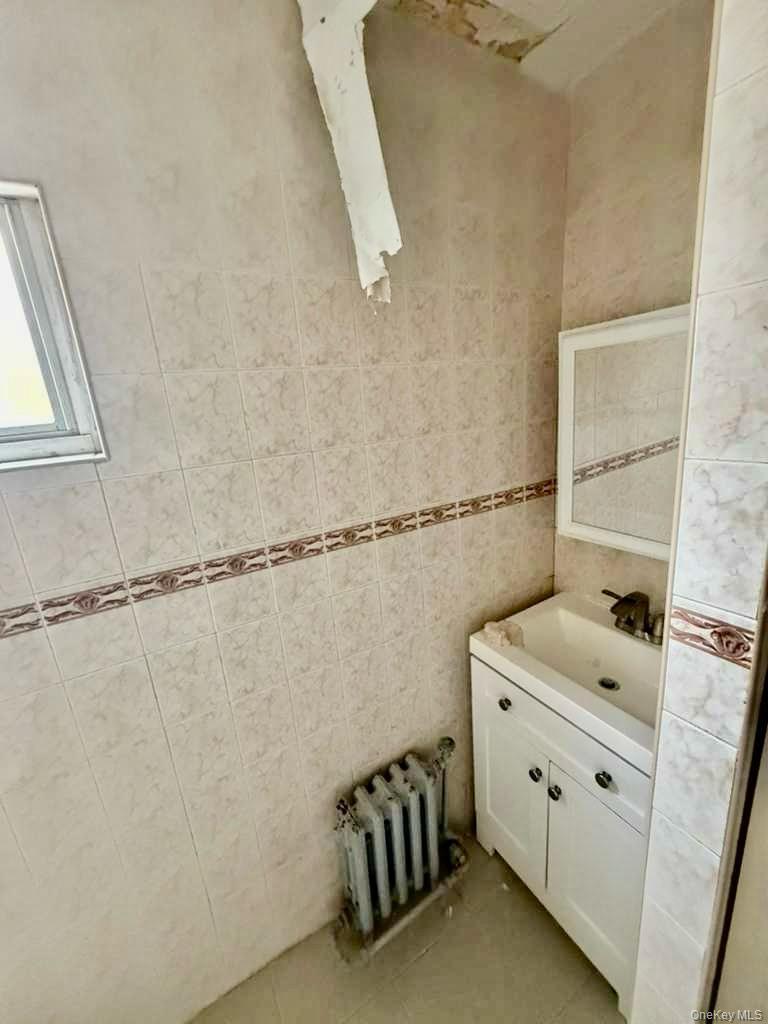 Single Family Chestnut  Brooklyn, NY 11208, MLS-933353-10