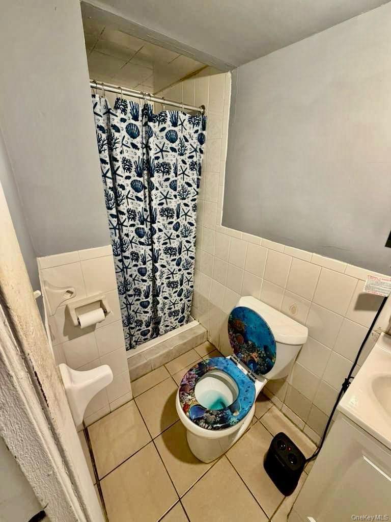 Single Family Chestnut  Brooklyn, NY 11208, MLS-933353-18