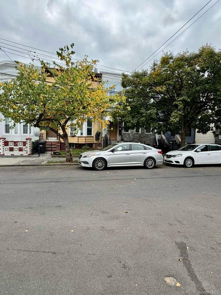 Single Family Chestnut  Brooklyn, NY 11208, MLS-933353-2