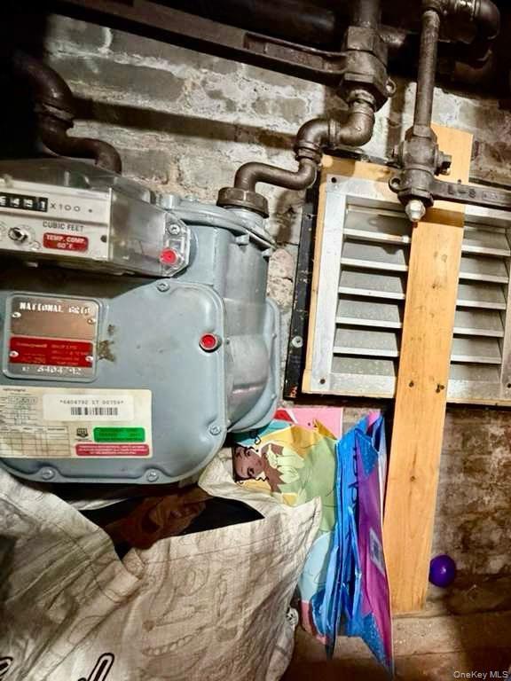 Single Family Chestnut  Brooklyn, NY 11208, MLS-933353-24