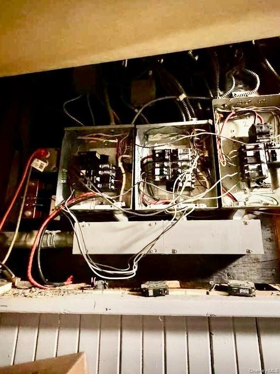 Single Family Chestnut  Brooklyn, NY 11208, MLS-933353-25