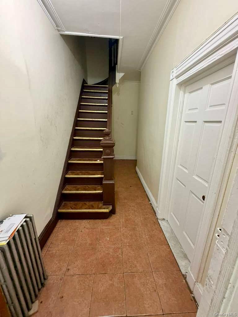 Single Family Chestnut  Brooklyn, NY 11208, MLS-933353-4