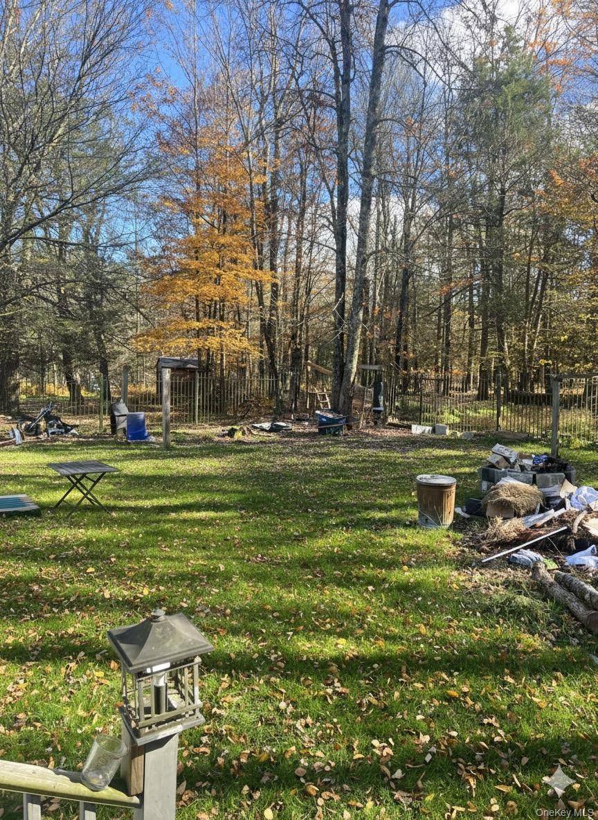 Single Family Eldridge  Sullivan County, NY 12720, MLS-933378-12