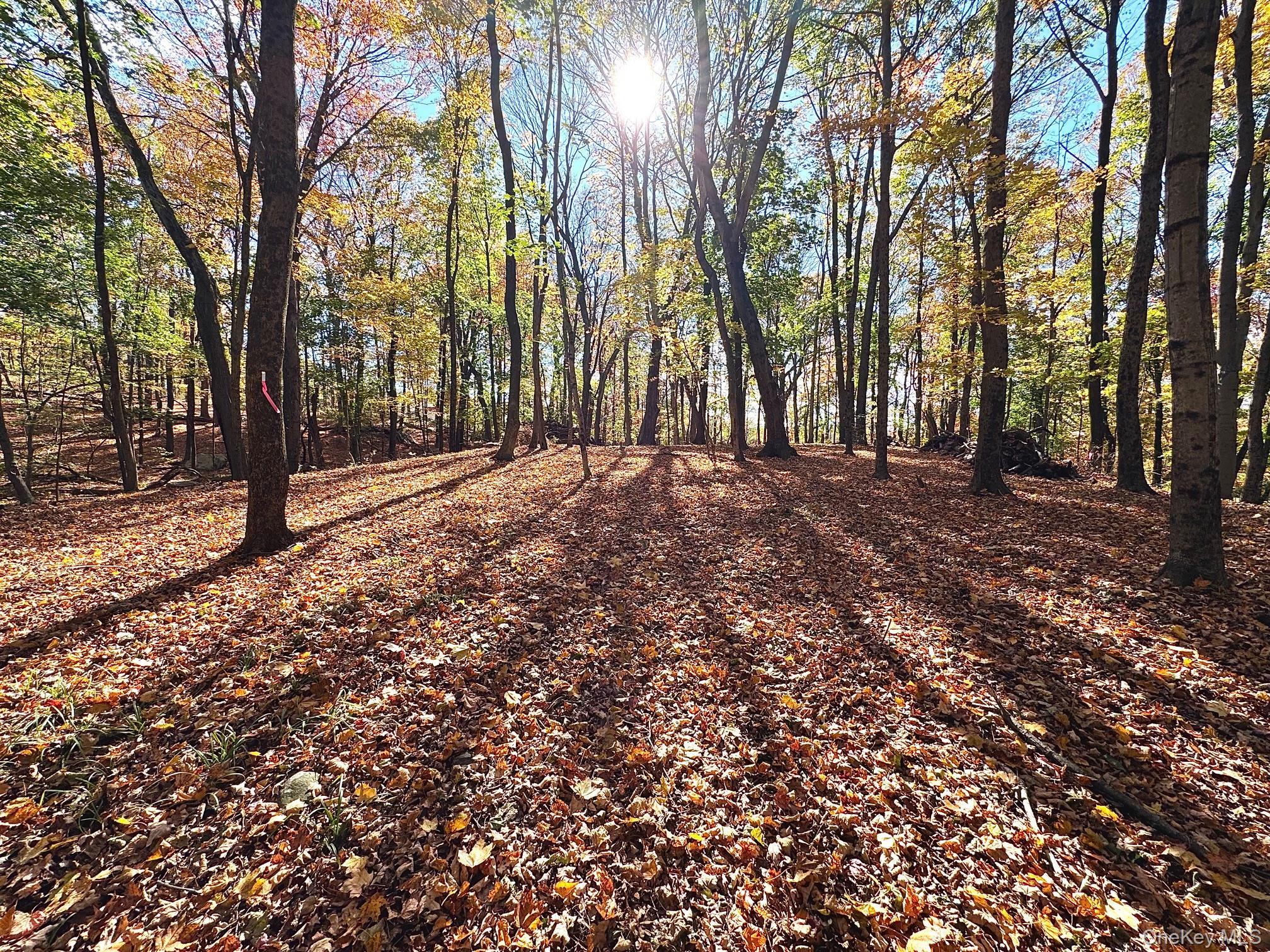 Single Family Somerstown Westchester County, NY 10562, MLS-933442-4