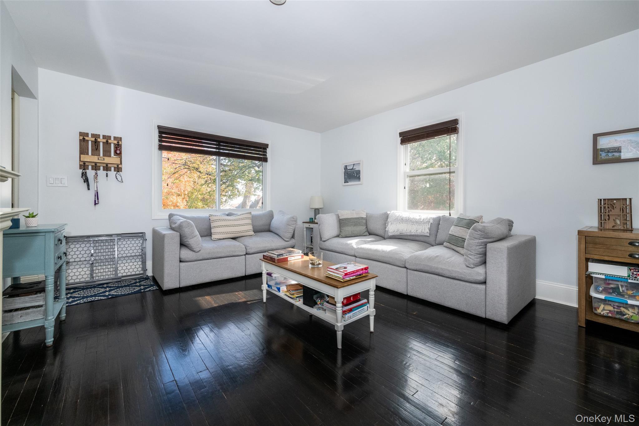 Single Family Clinton Westchester County, NY 10801, MLS-933451-3