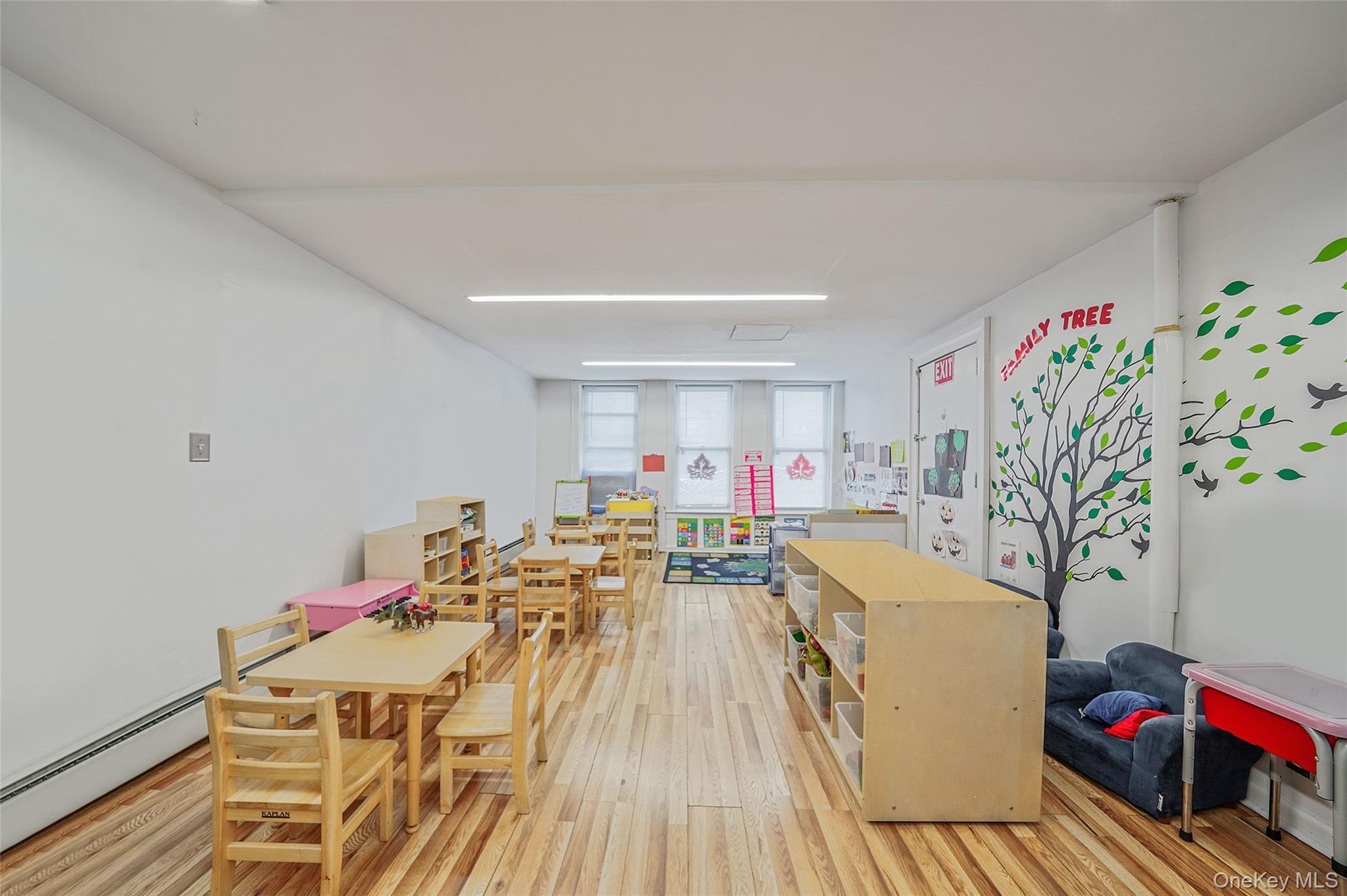 Single Family Blake  Brooklyn, NY 11207, MLS-933458-12