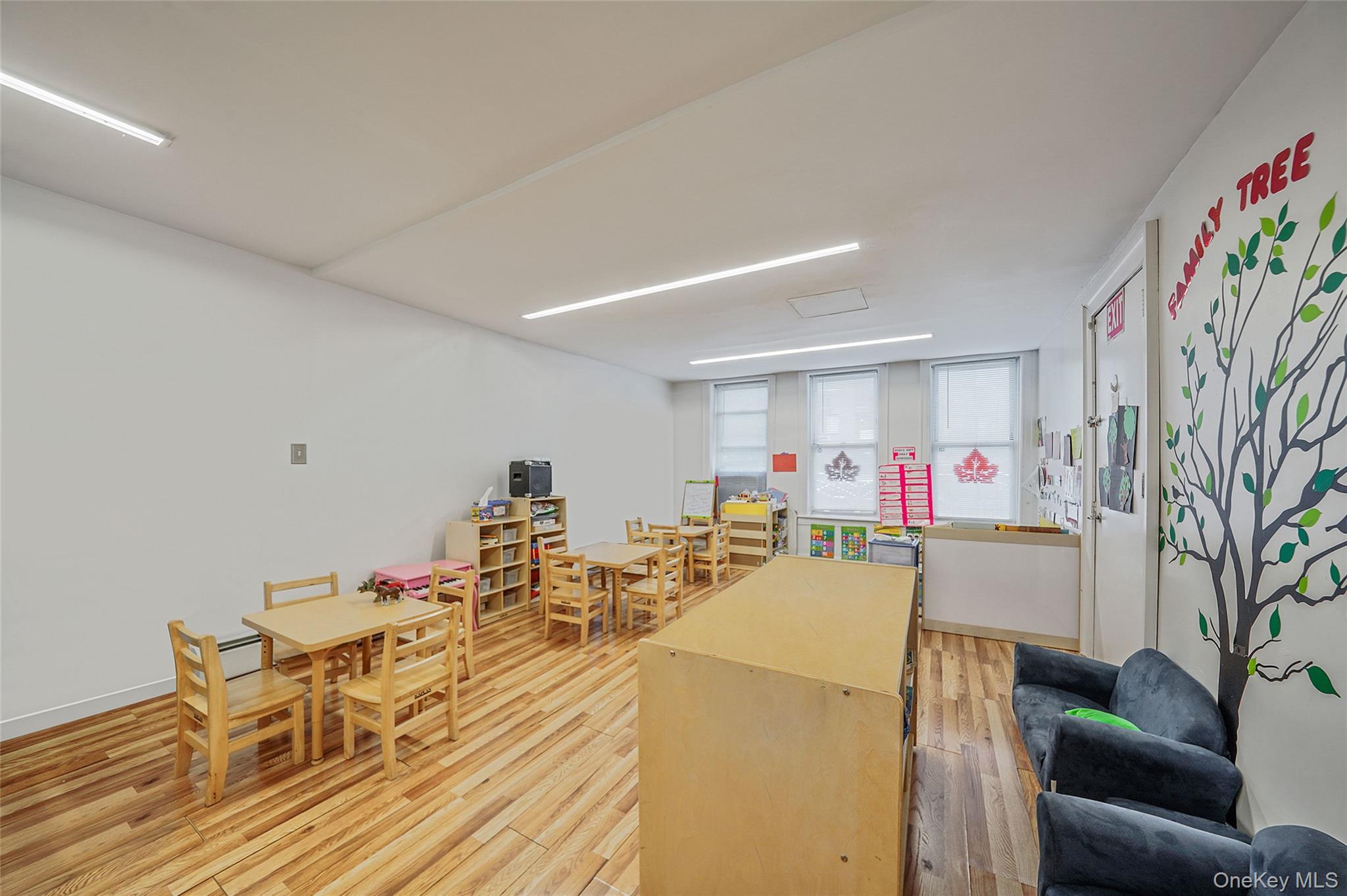 Single Family Blake  Brooklyn, NY 11207, MLS-933458-13