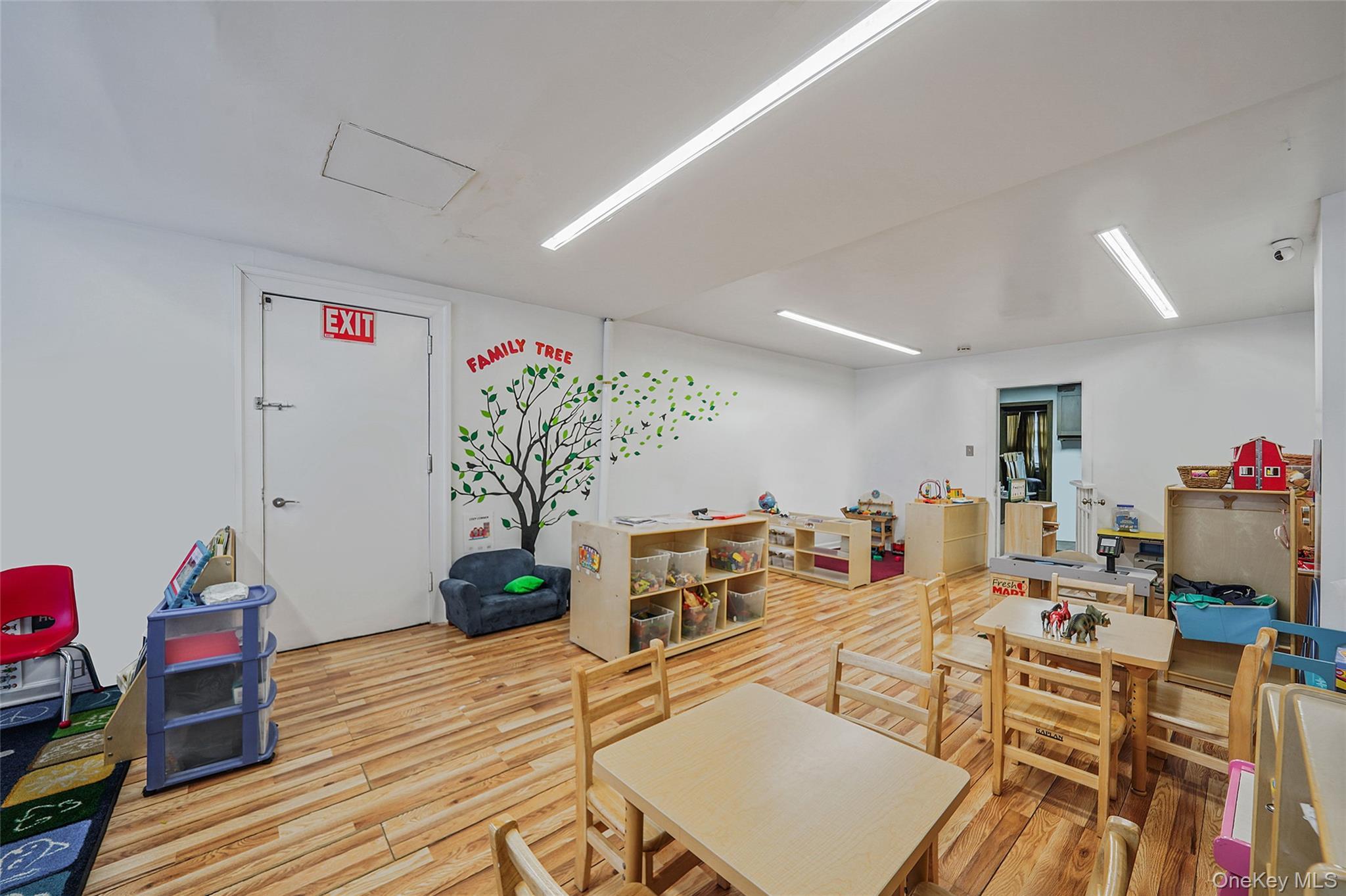 Single Family Blake  Brooklyn, NY 11207, MLS-933458-14