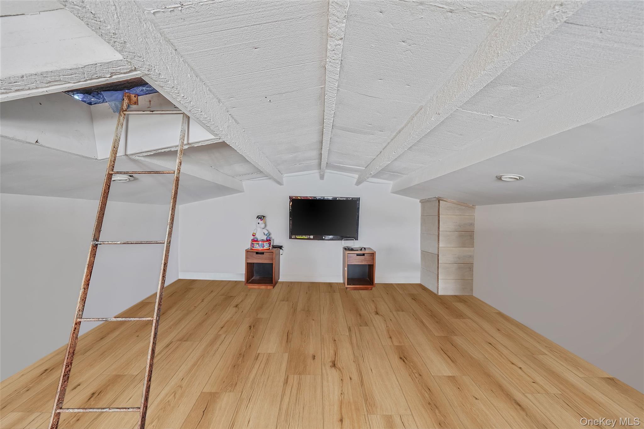 Single Family Blake  Brooklyn, NY 11207, MLS-933458-34