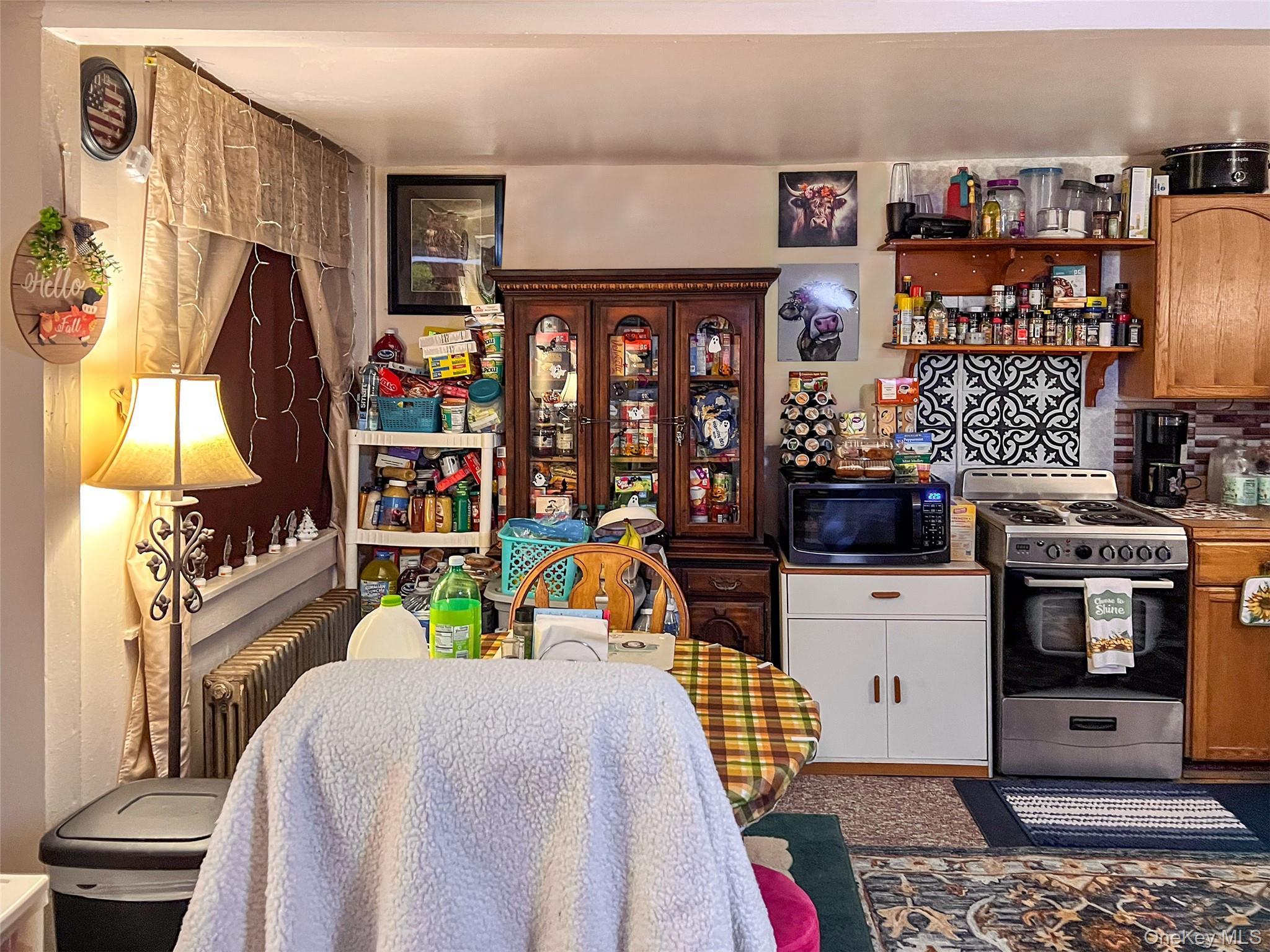 Single Family Main  Delaware County, NY 13753, MLS-933493-10