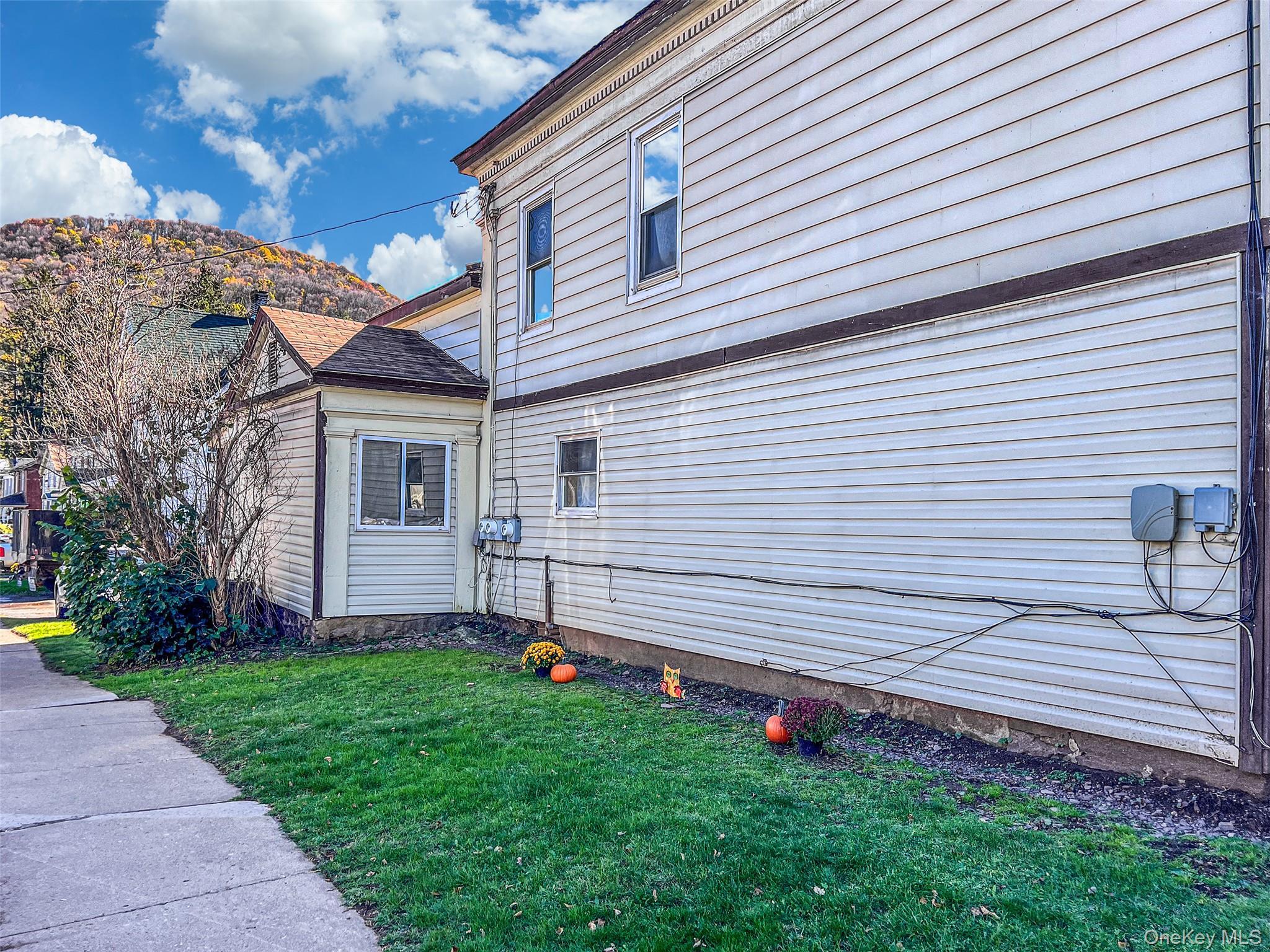 Single Family Main  Delaware County, NY 13753, MLS-933493-4