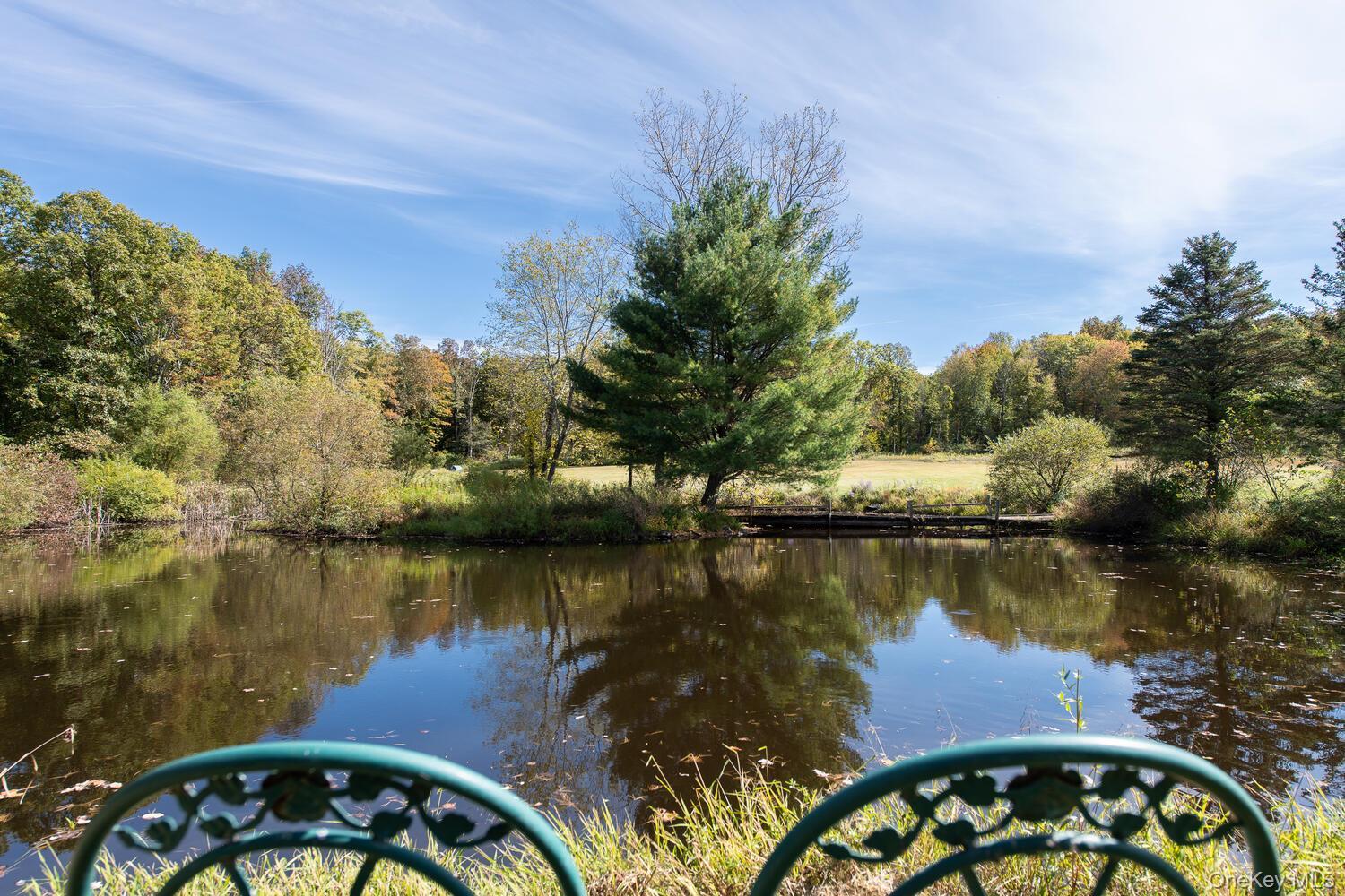 Single Family Ruskey  Dutchess County, NY 12538, MLS-933588-25