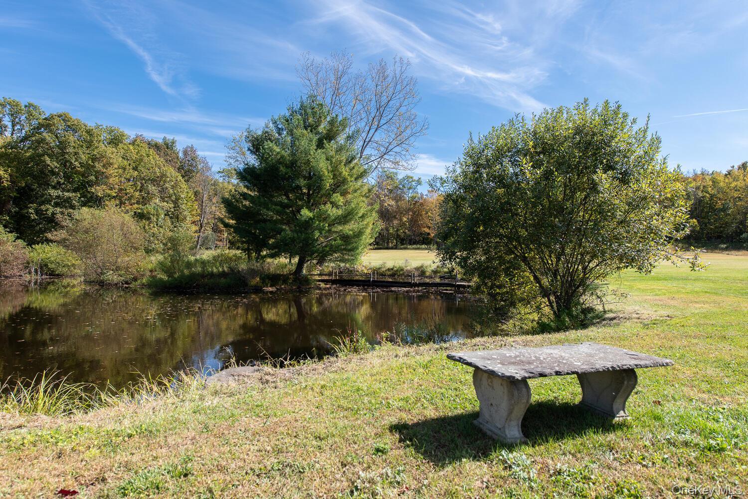 Single Family Ruskey  Dutchess County, NY 12538, MLS-933588-26