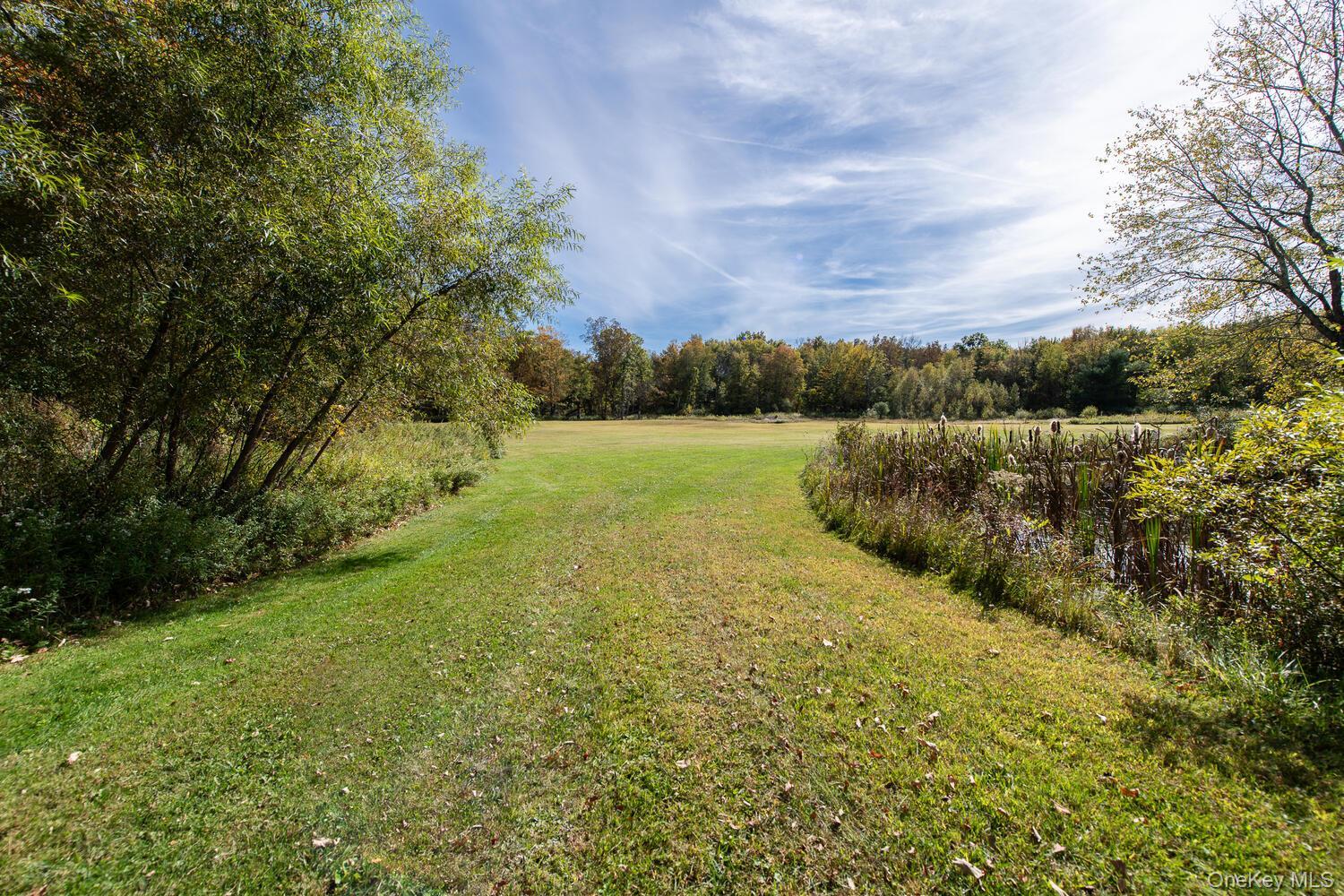 Single Family Ruskey  Dutchess County, NY 12538, MLS-933588-27