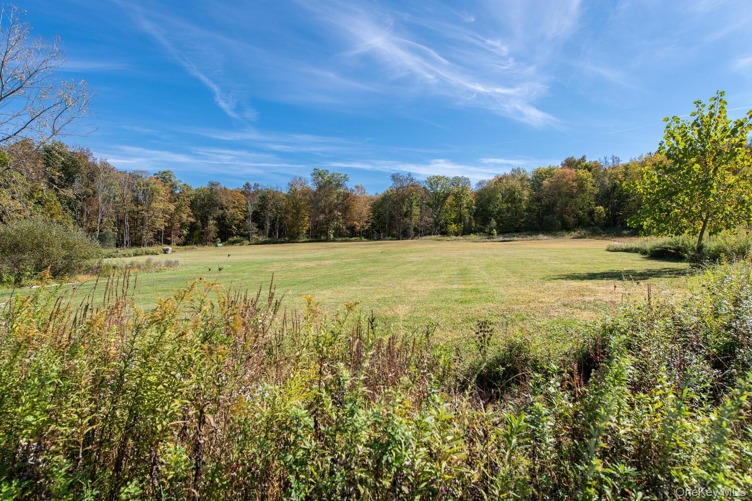 Single Family Ruskey  Dutchess County, NY 12538, MLS-933588-28