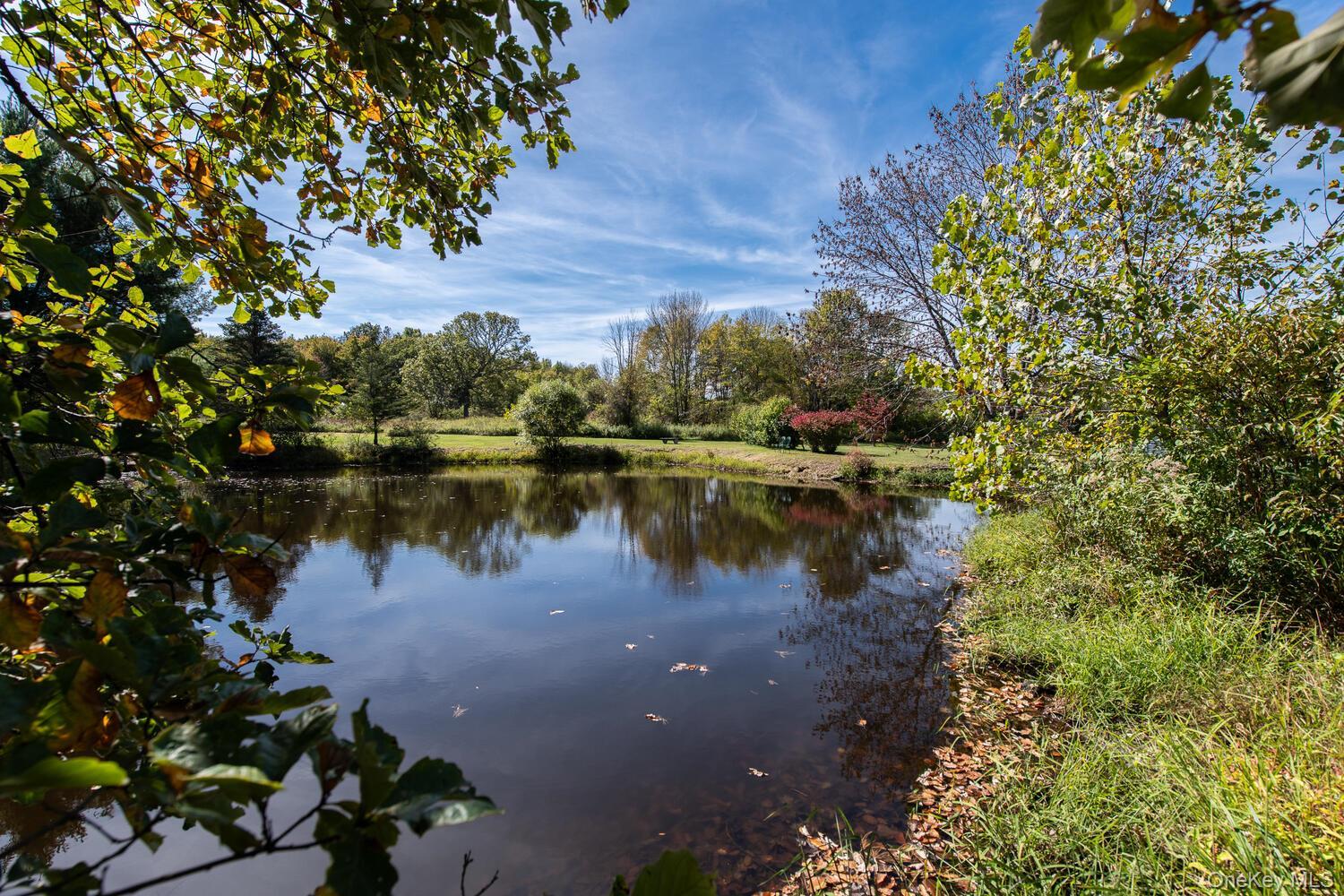 Single Family Ruskey  Dutchess County, NY 12538, MLS-933588-29