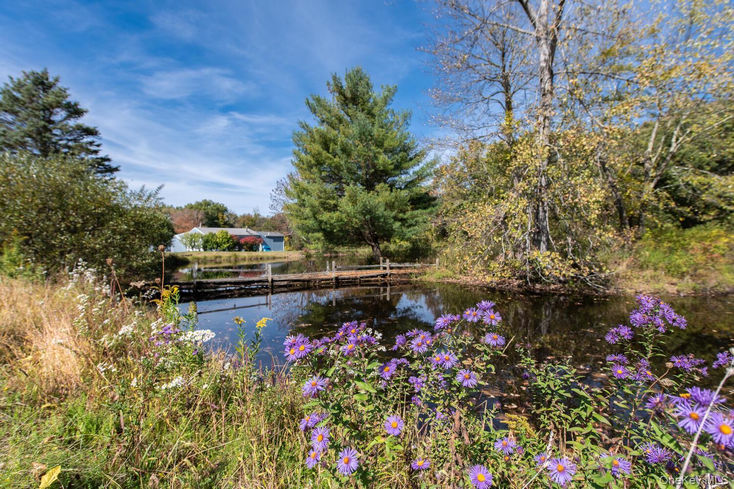 Single Family Ruskey  Dutchess County, NY 12538, MLS-933588-30