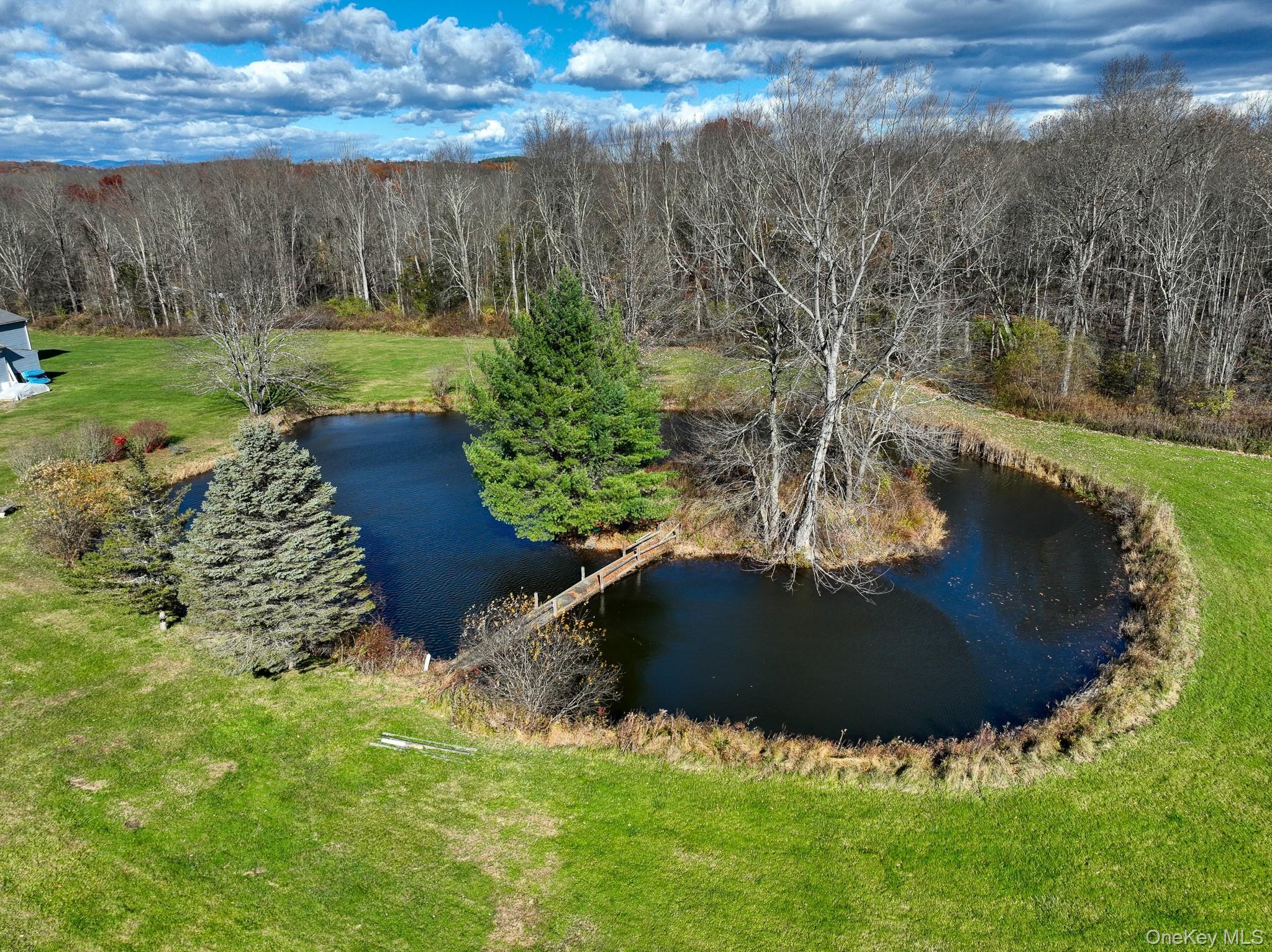 Single Family Ruskey  Dutchess County, NY 12538, MLS-933588-31